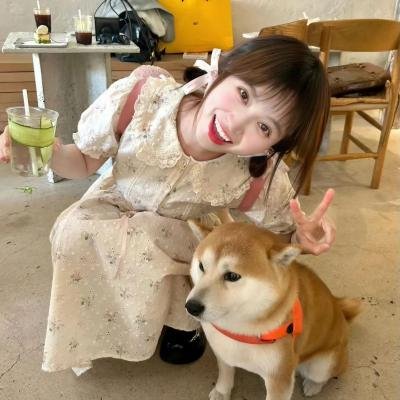 神龙之战